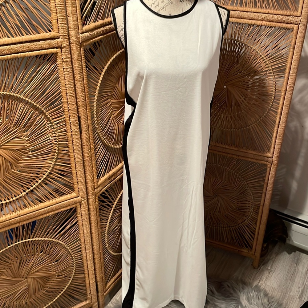 Zara Maxie dress